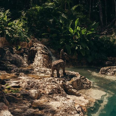 Amaite Retreat Tulum Otel Macario Gomez Dış mekan fotoğraf