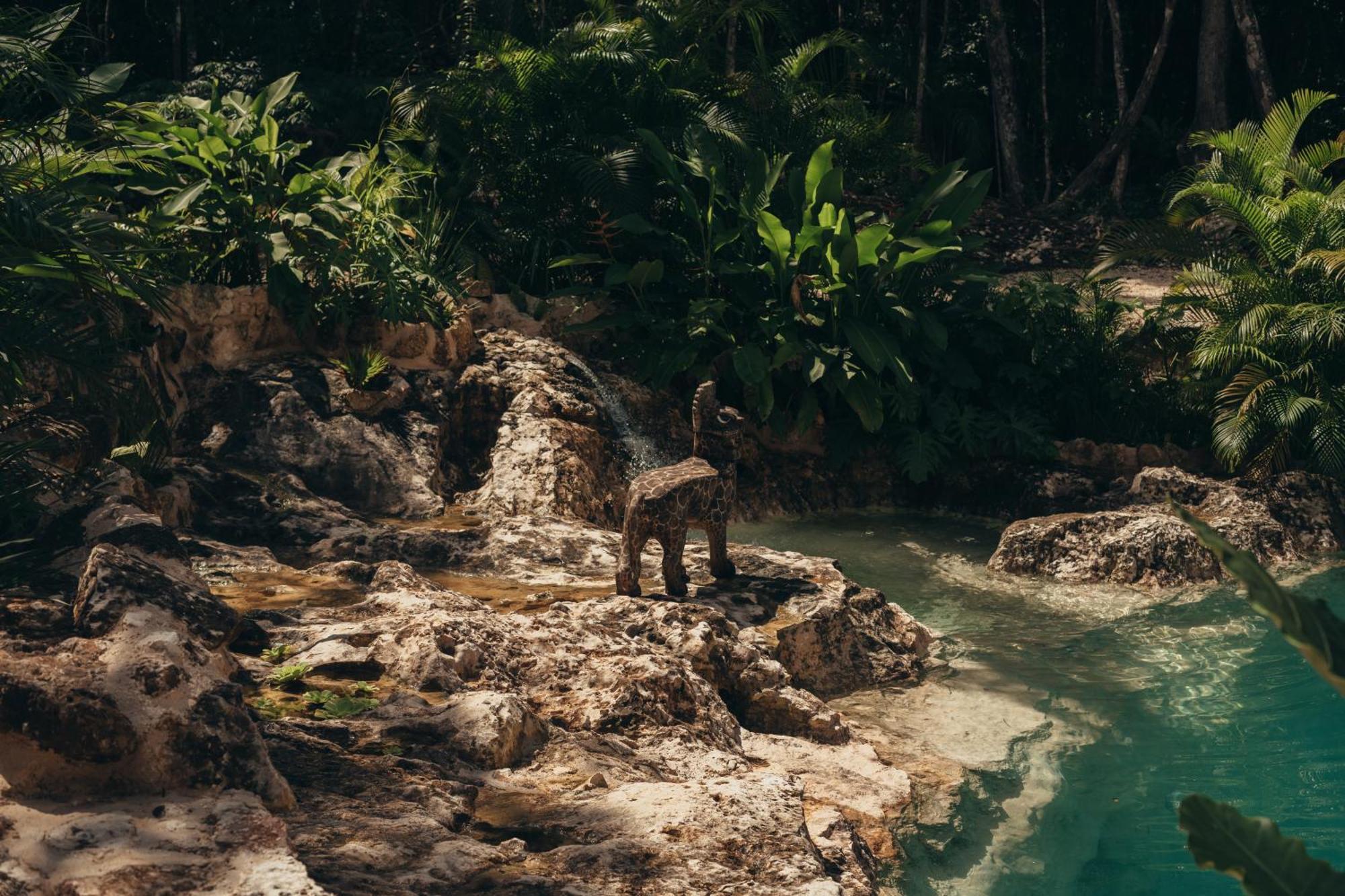 Amaite Retreat Tulum Otel Macario Gomez Dış mekan fotoğraf
